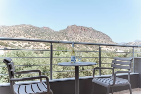 Deluxe Room | Terrace/patio