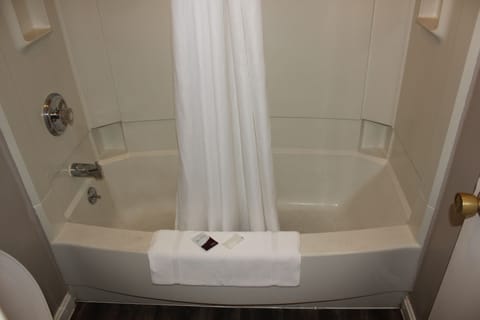 Combined shower/tub, free toiletries, hair dryer, towels