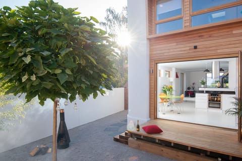 View of courtyard garden 