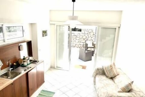 Dettaglio del soggiorno con cucina (3)