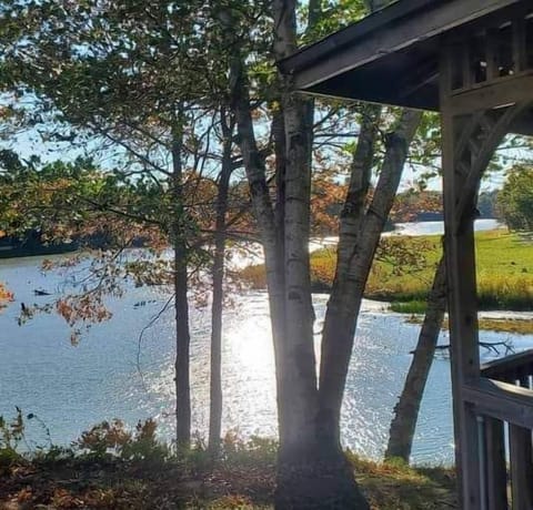 FB IMG 1667065152634