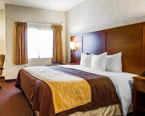 Standard Room, 1 King Bed, Non Smoking | Desk, iron/ironing board, rollaway beds, free WiFi