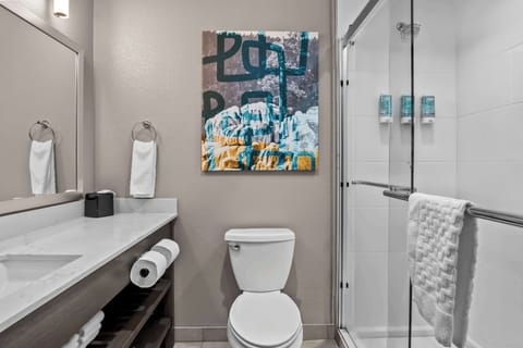 Standard Room, 1 King Bed, Non Smoking | Bathroom | Hair dryer, towels, soap, shampoo