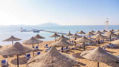 Private beach, free beach shuttle, beach bar