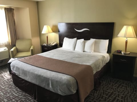 1 King bed Non Smoking | Desk, laptop workspace, blackout drapes, iron/ironing board