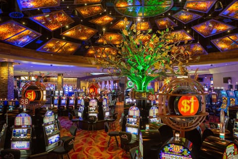 Casino