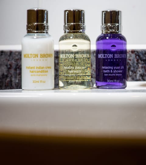 Combined shower/tub, free toiletries, hair dryer, bathrobes