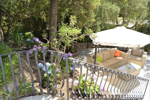 DSC_0048 (2) - bis (1)