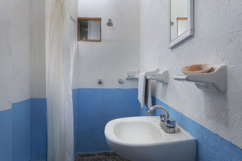 Basic Room | Bathroom | Shower, towels, soap, toilet paper