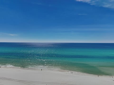 Welcome to Welcome to Emerald Beach #1127