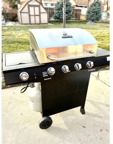 Gas BBQ grill