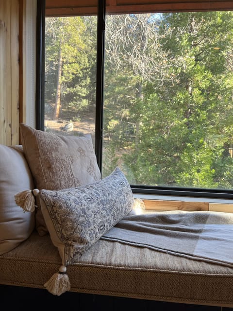 Reading nook with forest views