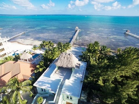 View from above