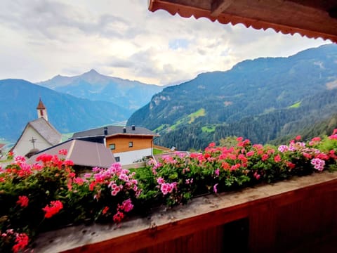 House | View from property