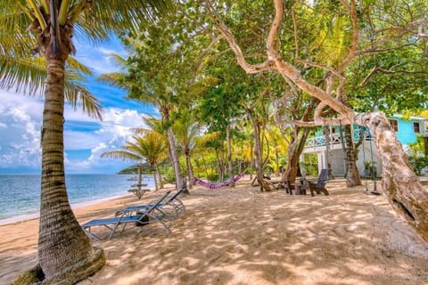 On the beach, white sand, scuba diving, beach bar