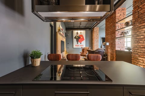 Deluxe Apartment | Private kitchen | Fridge, microwave, oven, stovetop