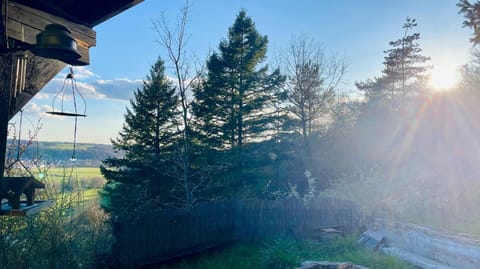 House | View from property