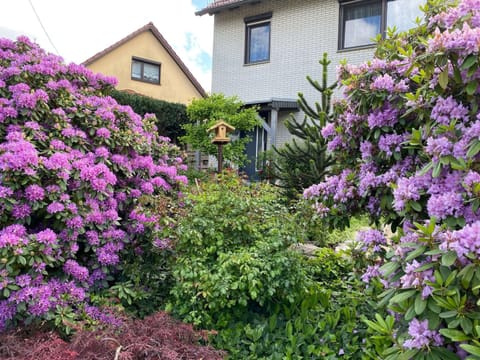 Apartment | Exterior