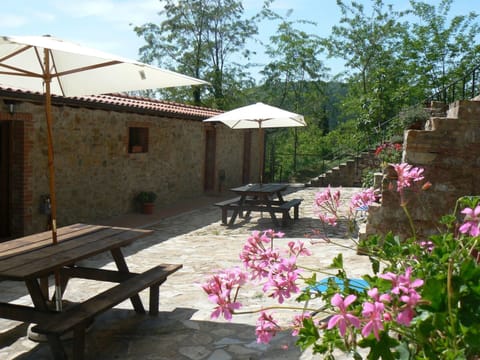 House | Garden