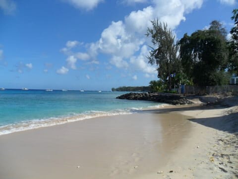 beach next to Beach Club