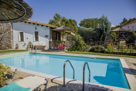 Pool area on the premises