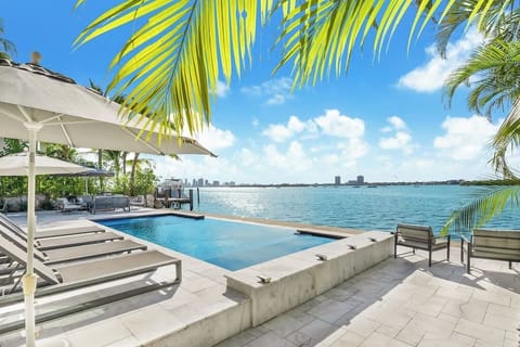 Miami Downtown View