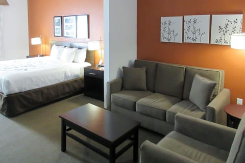 Suite, 1 King Bed with Sofa bed, Accessible, Non Smoking | Pillowtop beds, in-room safe, desk, blackout drapes