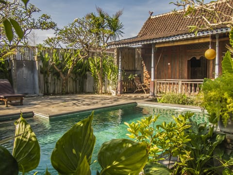 Superior Single Room | Pool | Outdoor pool
