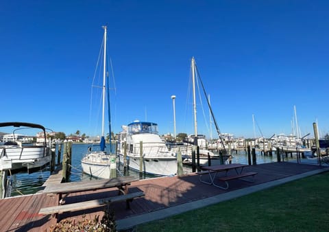 Welcome to Bayside Condos! This community has a large dock with - Welcome to Bayside Condos! This community has a large dock with plenty of seating for you to enjoy while you watch the local marine life- manatees, fish, dolphins, sea birds!