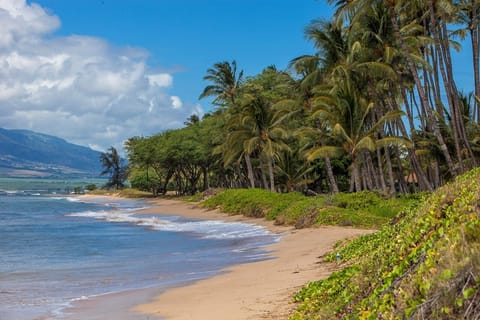 Condo, 2 Bedrooms | Beach