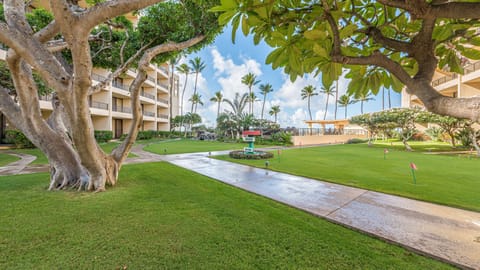 Condo, 1 Bedroom | Property grounds