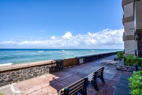 Studio | Property grounds