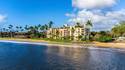 Condo, 1 Bedroom | Beach | On the beach