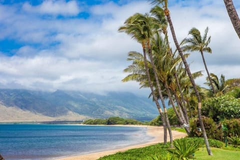 Condo, 1 Bedroom | Beach | On the beach