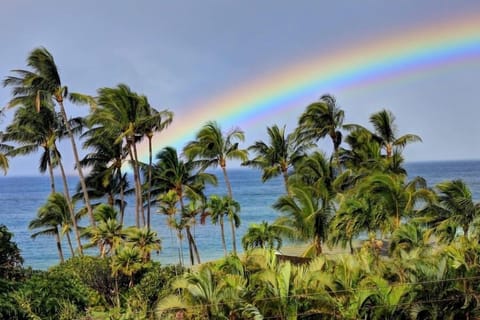 Condo, 1 Bedroom | Beach | Beach nearby