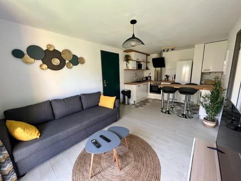Séjour lumineux avec canapé convertible, TV 4K et climatisation, T2 rénové Le Cozen Toulouse Minimes