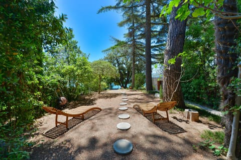 Private access to the beach full of a pine trees