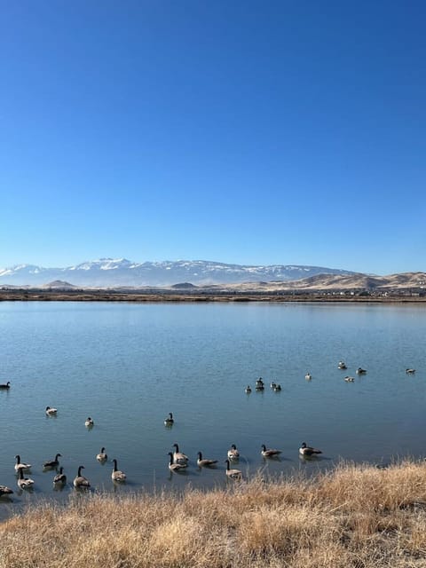 Kiley Ranch Lake, a birdwatcher’s paradise, is just a short walk from your patio.
