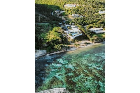 Ariel view 