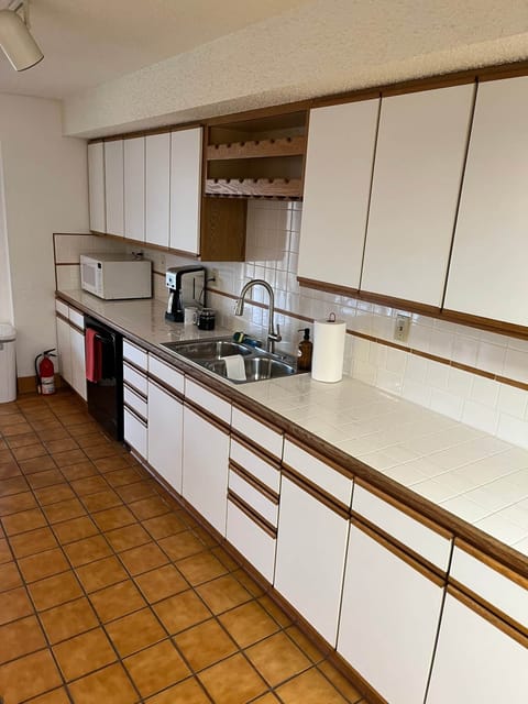 Bottom Floor Kitchen (1)