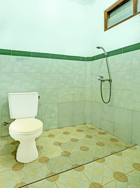 Shower, towels, toilet paper