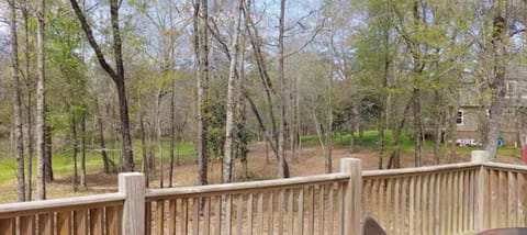 Beautiful view from back deck overlooking the wooded bottom
