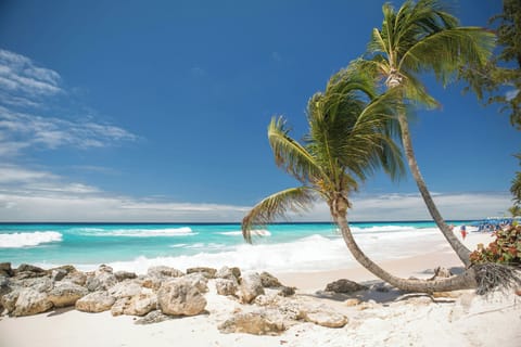 On the beach, white sand, sun loungers, beach umbrellas