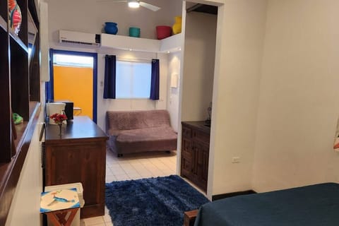 Studio Living Area