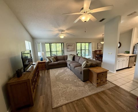 Living room (view from foyer)
