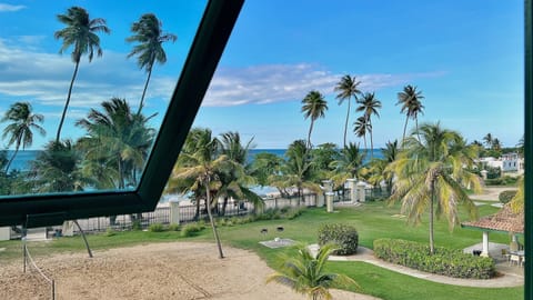 View from Dining Window