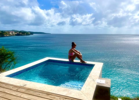 Step directly from the deck into the plunge pool. 