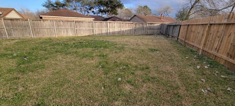 Spacious backyard