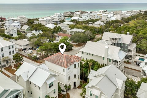 15 Mathis Cove - Inlet Beach - Aerial