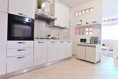 Basic Apartment | Private kitchen | Full-size fridge, microwave, oven, stovetop